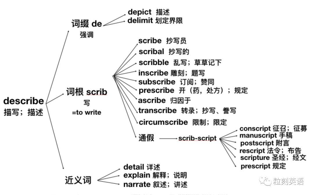 学服装英语软件_英语免费学软件_学英语字母的软件