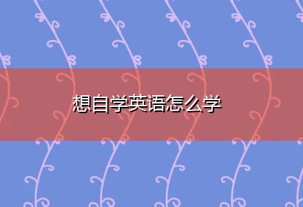 想自学英语怎么学