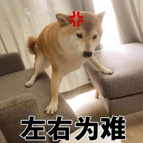 新东方 托福好还是雅思好_北京学雅思好还是太原学雅思好_学托福好还是雅思好
