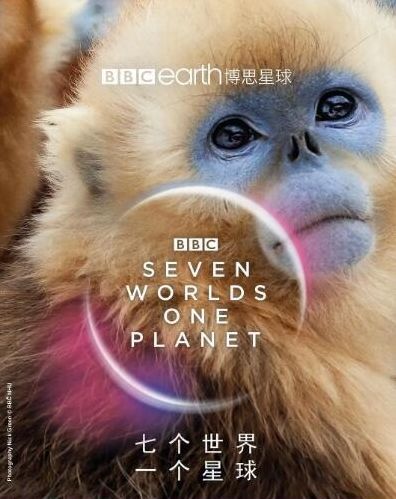 2011高考英语全国卷1听力材料_英语听力材料推荐_英语听力材料