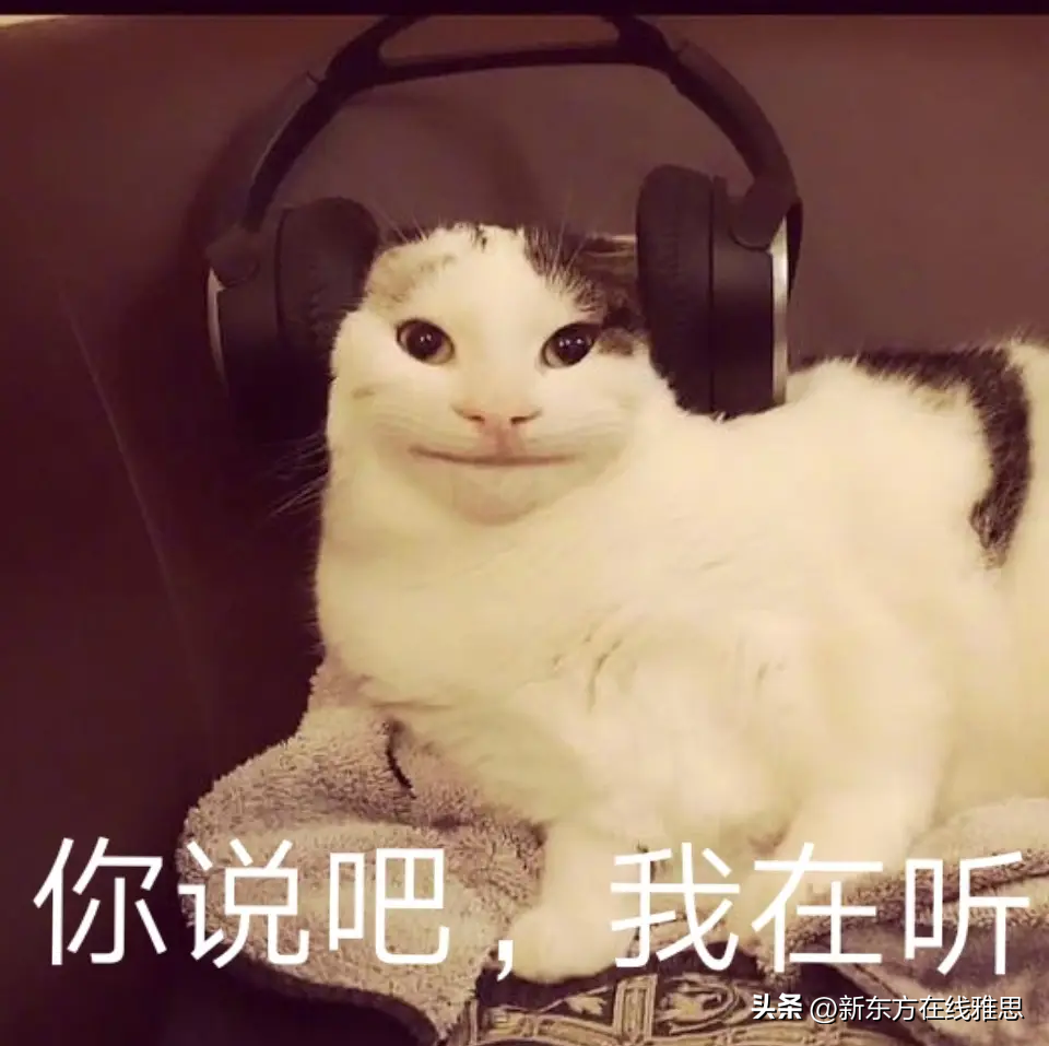 考托福好还是考雅思好_雅思7.5分数对应水平_雅思7分是什么水平