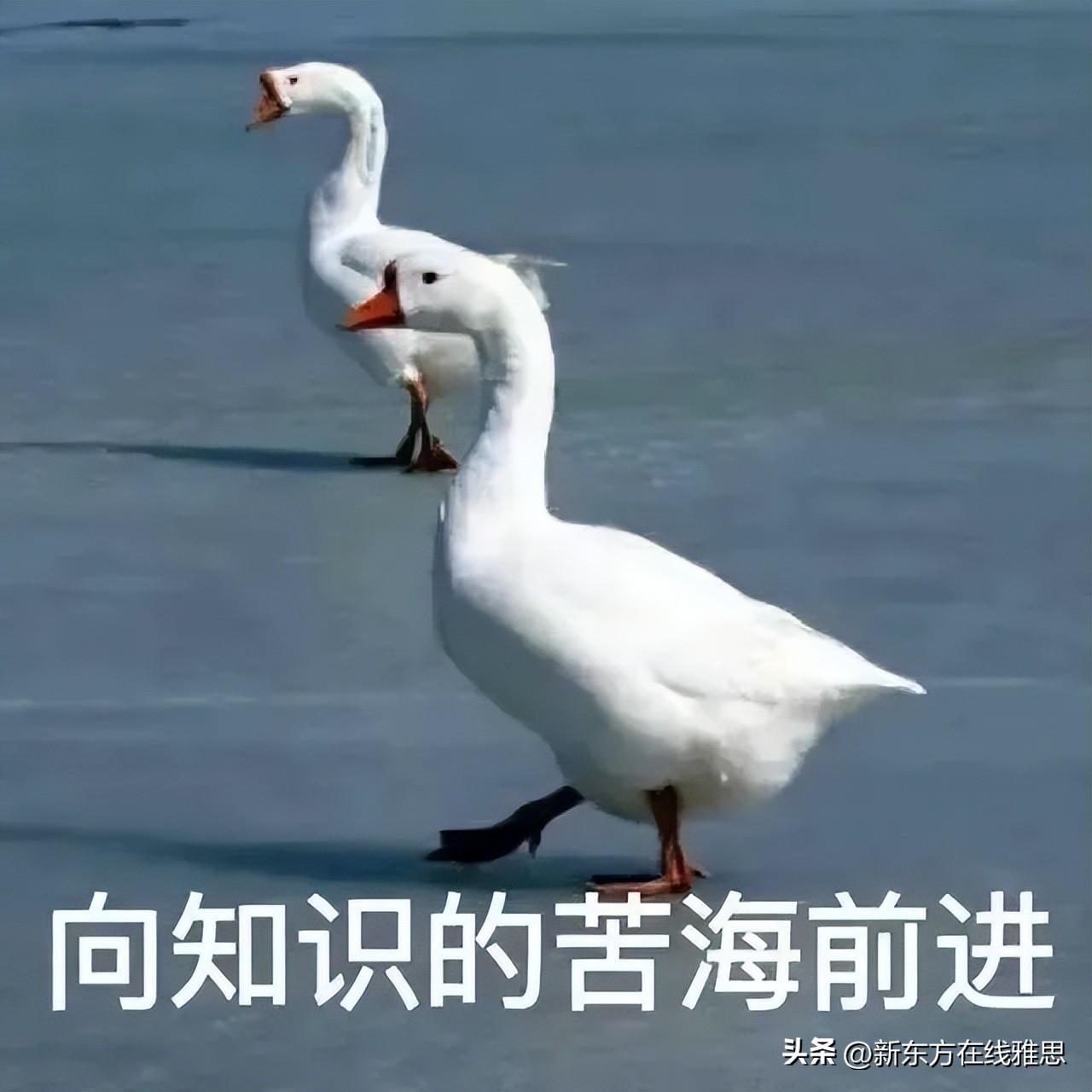 考托福好还是考雅思好_雅思7分是什么水平_雅思7.5分数对应水平