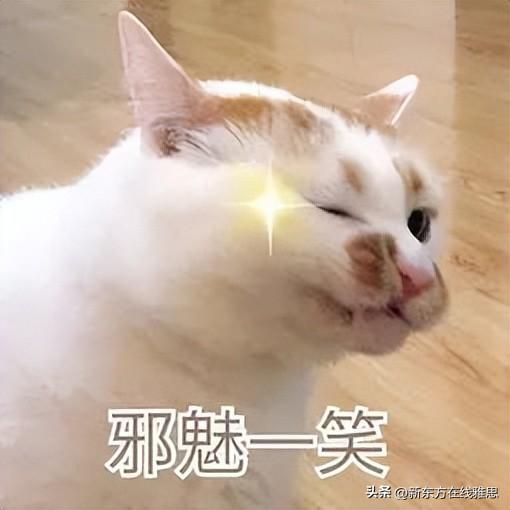 雅思7分是什么水平_考托福好还是考雅思好_雅思7.5分数对应水平