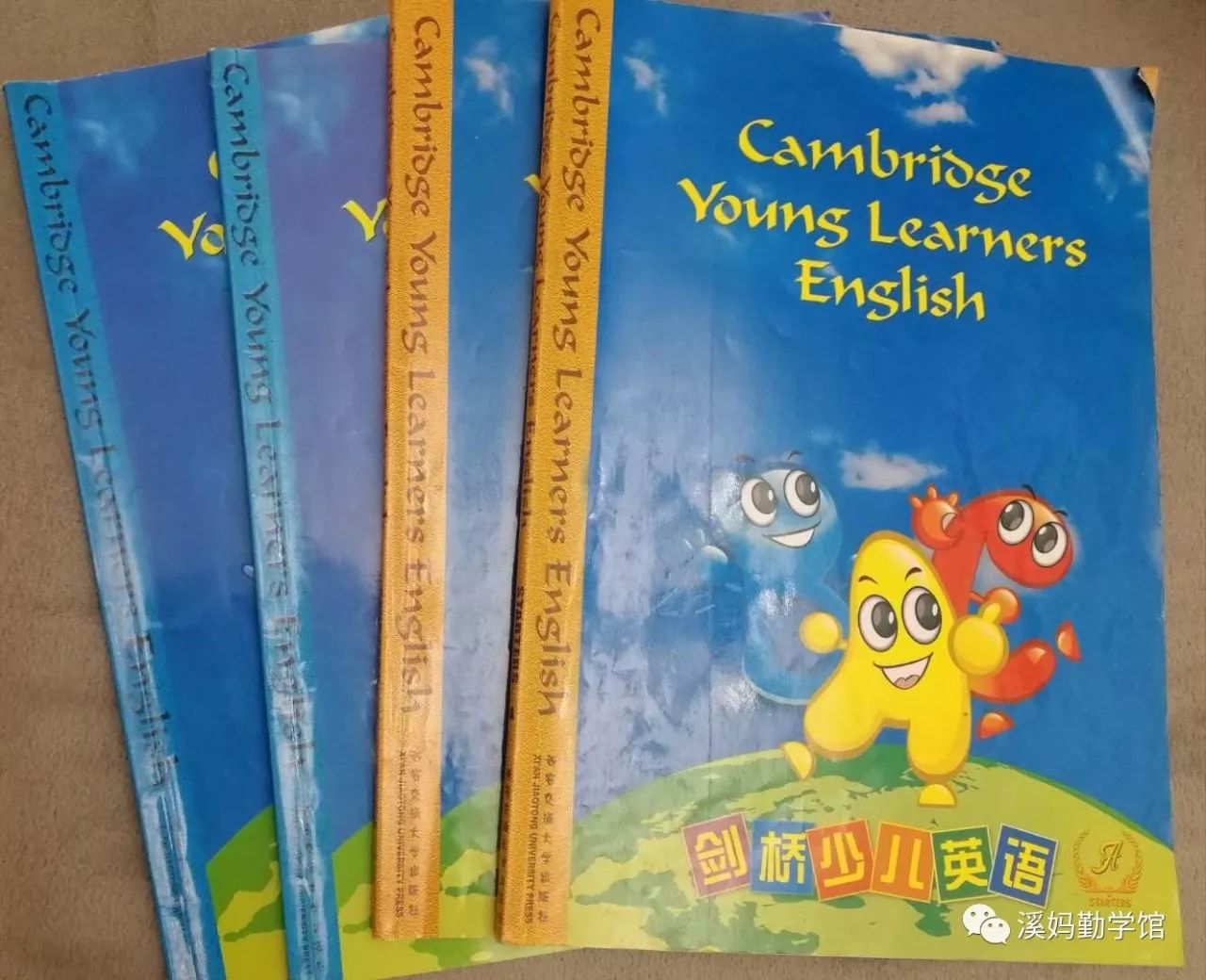 该不该学英语_该学英语了_已学英语