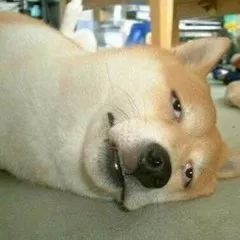 托福辅导班哪种效果好_哪个托福班好_托福班哪个好