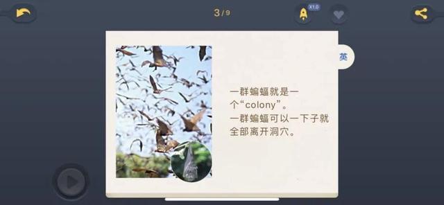 宝宝学英语的软件_小宝宝学英语软件_2岁宝宝学英语用什么软件