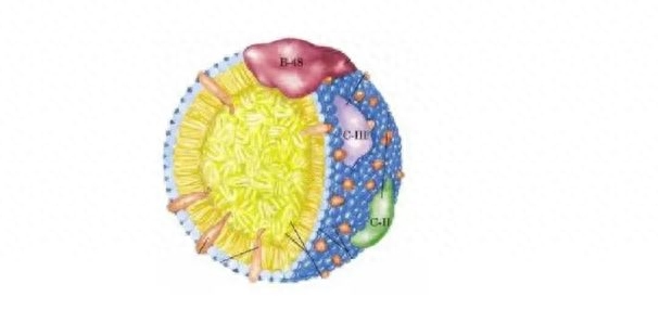 分子生物学英语_分子生物学英语_分子生物学英语