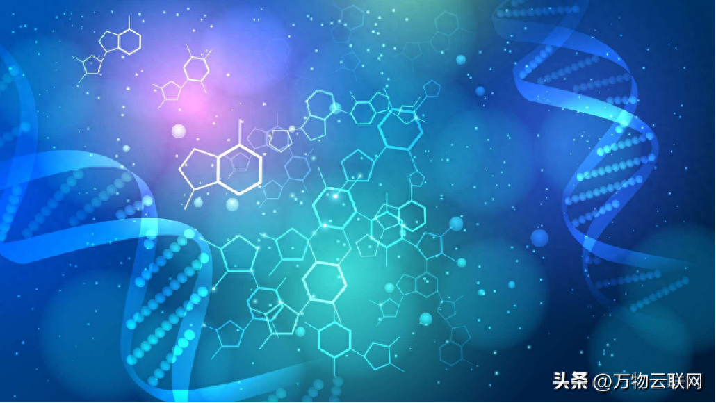 分子生物学英语_分子生物学英语_分子生物学英语