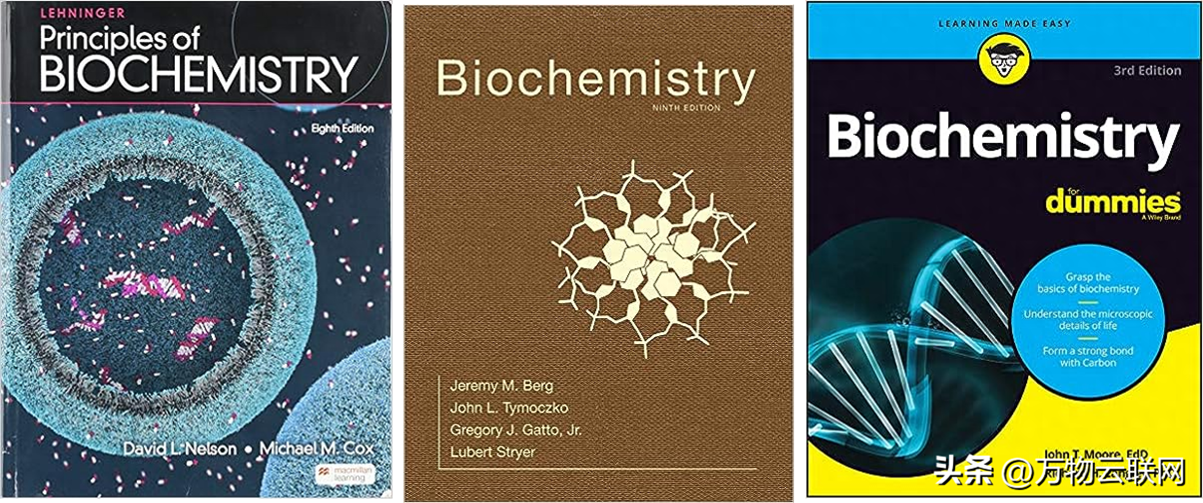 分子生物学英语_分子生物学英语_分子生物学英语