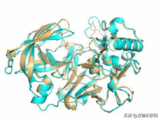分子生物学英语_分子生物学英语_分子生物学英语