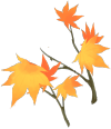 秋天英语_秋天英语怎么读autumn_秋天英语怎么说
