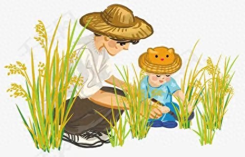 秋天英语_秋天英语怎么说_秋天英语怎么读autumn