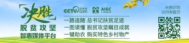 口语英语训练软件_口语训练英语_英语口语如何训练