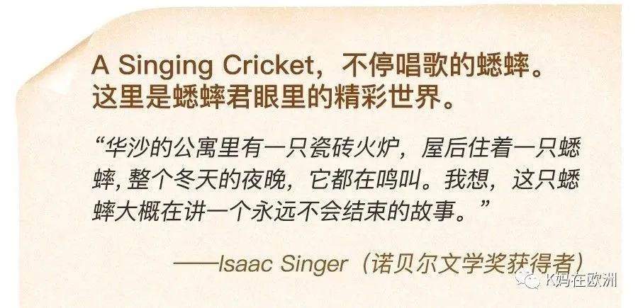 大学英语刊物推荐_英语大学推荐信_英语杂志推荐大学生
