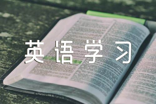 英语学习策略_英语策略怎么说_英语策略能力是什么意思