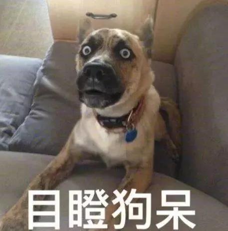 骂人狠的英语_英语骂人最狠的脏话_狠骂人脏话英语