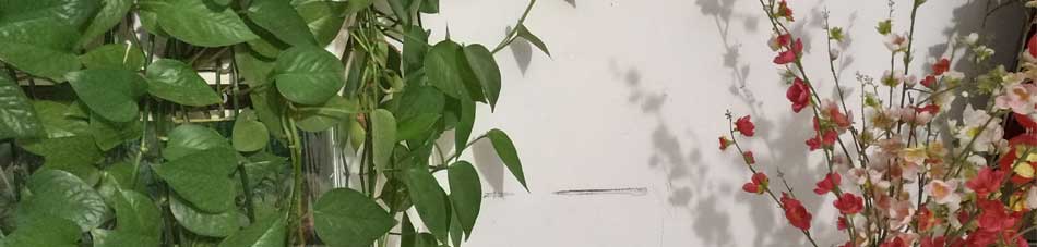 沈阳英语培训班_培训沈阳英语班多少钱_培训沈阳英语班哪家好
