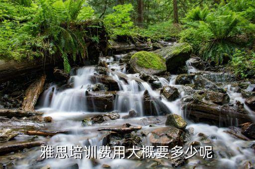 雅思培训费用大概要多少呢
