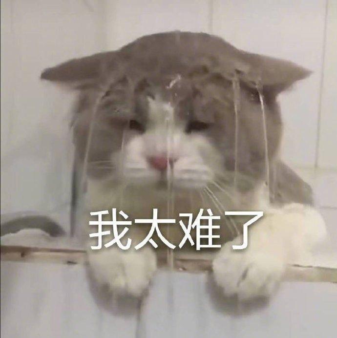小小泰迪学英语01_智慧树小小泰迪熊学英语_小小泰迪学英语