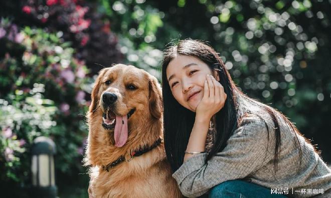 [小小智慧树]小小泰迪学英语_百度一下小小泰迪学的英语_小小泰迪学英语