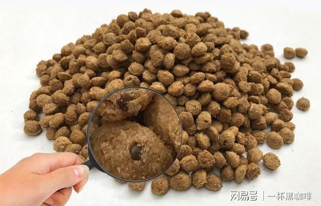 百度一下小小泰迪学的英语_[小小智慧树]小小泰迪学英语_小小泰迪学英语