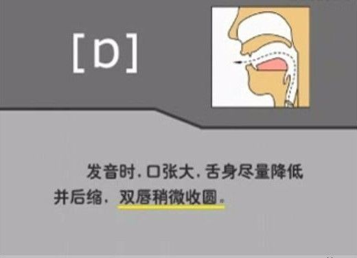 英语视频音标基础学什么_怎么学英语音标零基础英语视频_英语视频音标发音