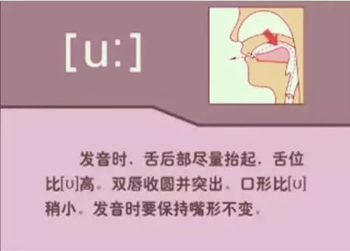 怎么学英语音标零基础英语视频_英语视频音标基础学什么_英语视频音标发音