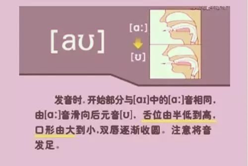 怎么学英语音标零基础英语视频_英语视频音标发音_英语视频音标基础学什么