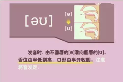 怎么学英语音标零基础英语视频_英语视频音标基础学什么_英语视频音标发音