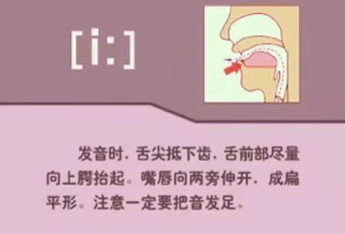 英语视频音标发音_怎么学英语音标零基础英语视频_英语视频音标基础学什么