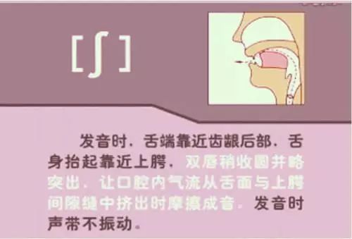 英语视频音标基础学什么_怎么学英语音标零基础英语视频_英语视频音标发音