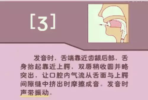 怎么学英语音标零基础英语视频_英语视频音标基础学什么_英语视频音标发音
