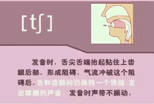 怎么学英语音标零基础英语视频_英语视频音标发音_英语视频音标基础学什么