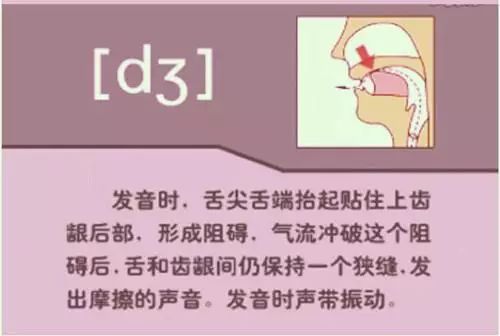 英语视频音标基础学什么_英语视频音标发音_怎么学英语音标零基础英语视频