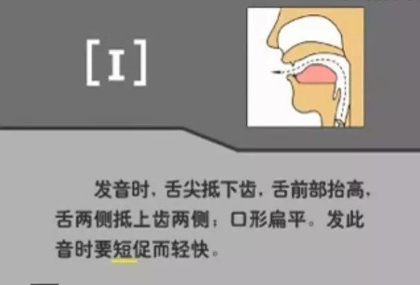 怎么学英语音标零基础英语视频_英语视频音标基础学什么_英语视频音标发音