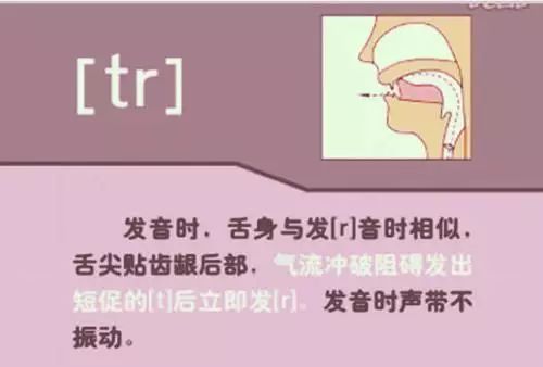 怎么学英语音标零基础英语视频_英语视频音标基础学什么_英语视频音标发音