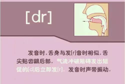 英语视频音标发音_怎么学英语音标零基础英语视频_英语视频音标基础学什么