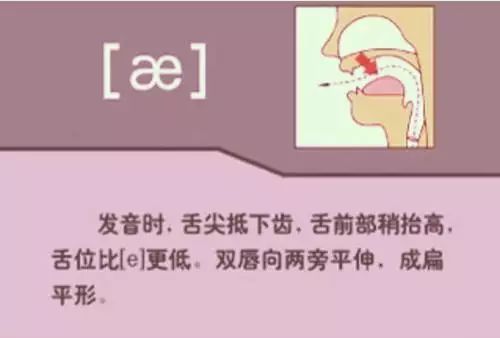 怎么学英语音标零基础英语视频_英语视频音标发音_英语视频音标基础学什么