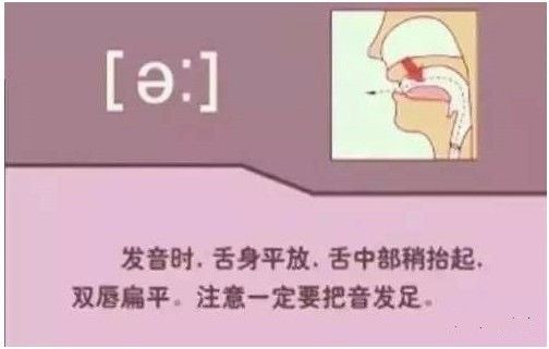 怎么学英语音标零基础英语视频_英语视频音标基础学什么_英语视频音标发音