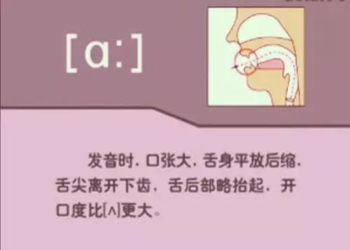 怎么学英语音标零基础英语视频_英语视频音标基础学什么_英语视频音标发音