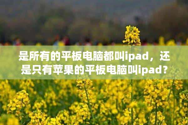 是所有的平板电脑都叫ipad，还是只有苹果的平板电脑叫ipad？