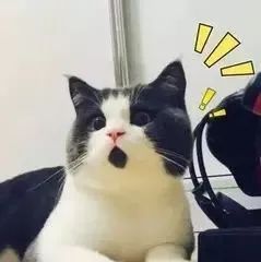 什么叫雅思英语_英语雅思是什么意思_雅思单词是什么意思