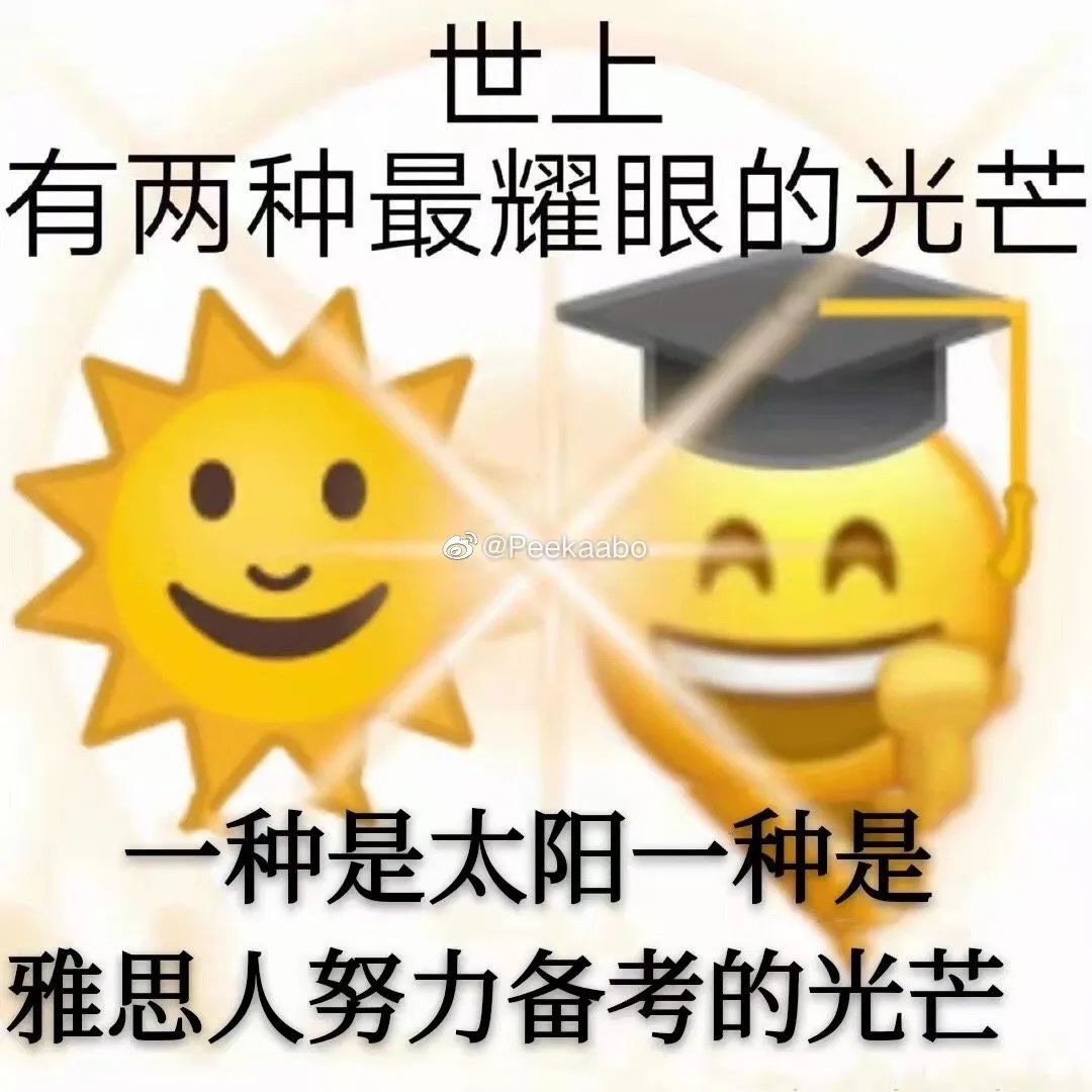 什么叫雅思英语_英语雅思是什么意思_雅思单词是什么意思
