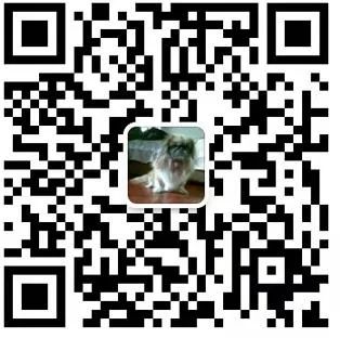 英语雅思是什么意思_雅思的意思_雅思英语是英式还是美式