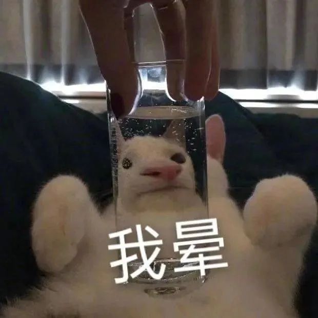 英语雅思是什么意思_雅思的意思_雅思英语是英式还是美式
