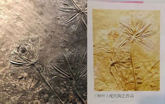 上海出版社英语教育出版时间_上海出版社英语教材_英语上海教育出版社