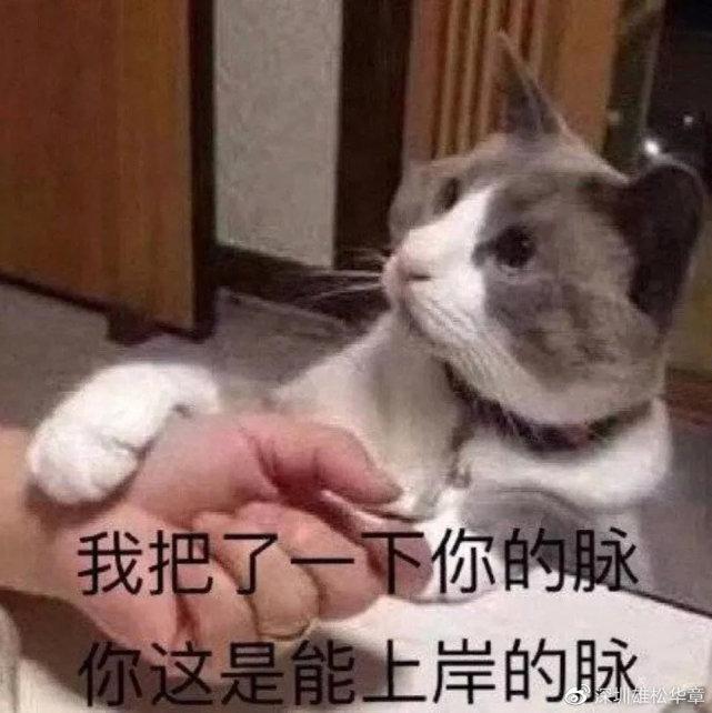 考研英语分数组成_分数考研构成英语怎么算_考研英语分数构成