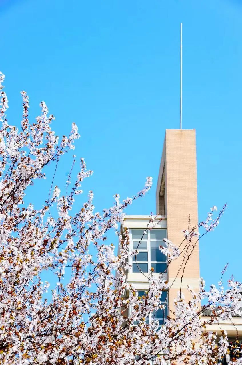 自学英语起学要多久_自学英语从哪里学起_自学英语如何起步