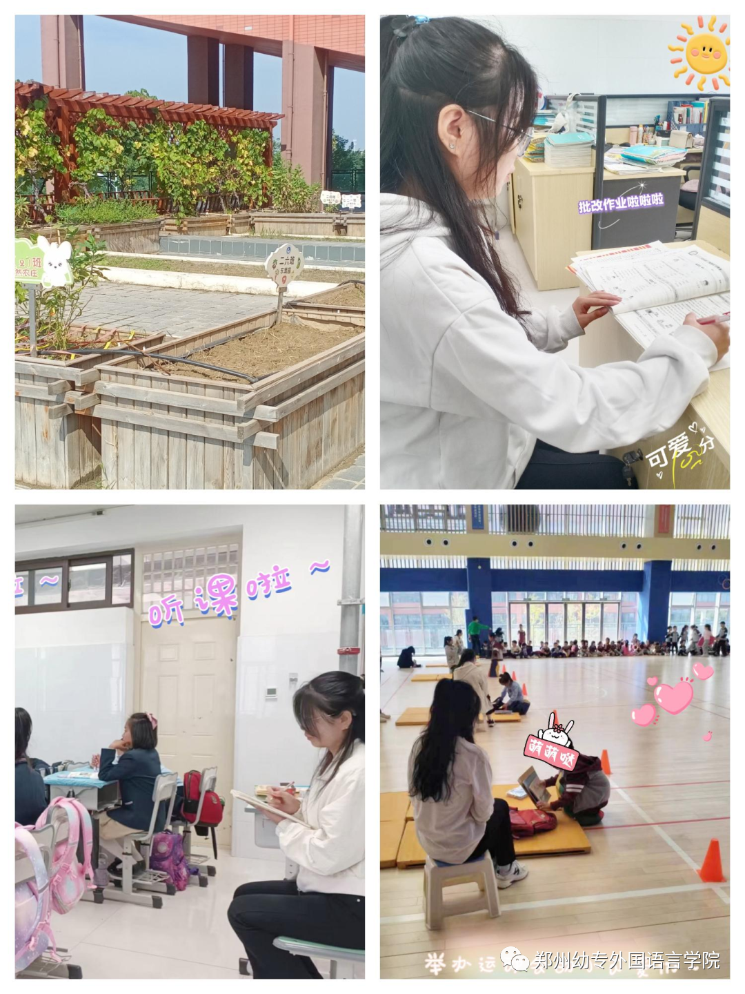 英语教育学专业学校排行榜_教育学专业英语_英语教育学专业大学排名