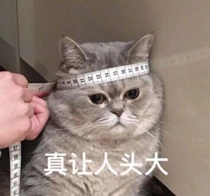 中等难度英语_难度英语作文_英语二难度